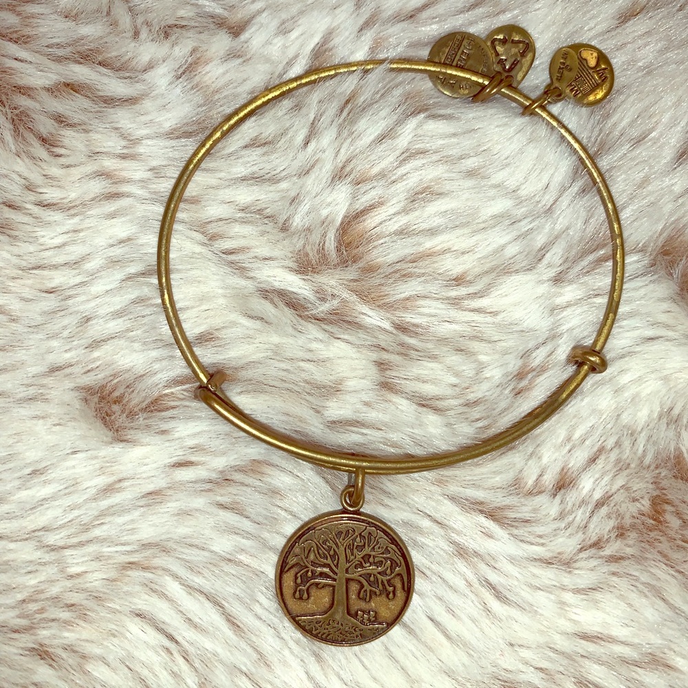 Alex and Ani dangle bracelets